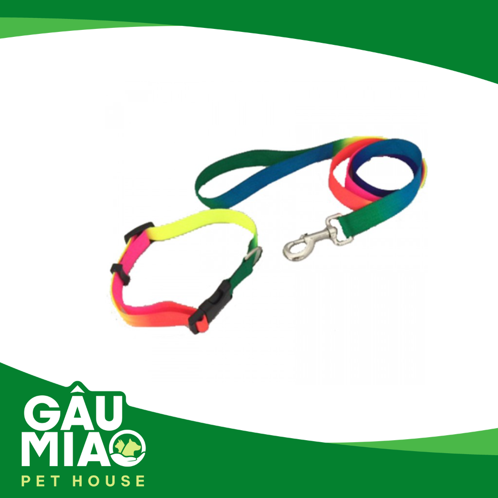 Bộ dắt+vòng cổ HK 7 sắc