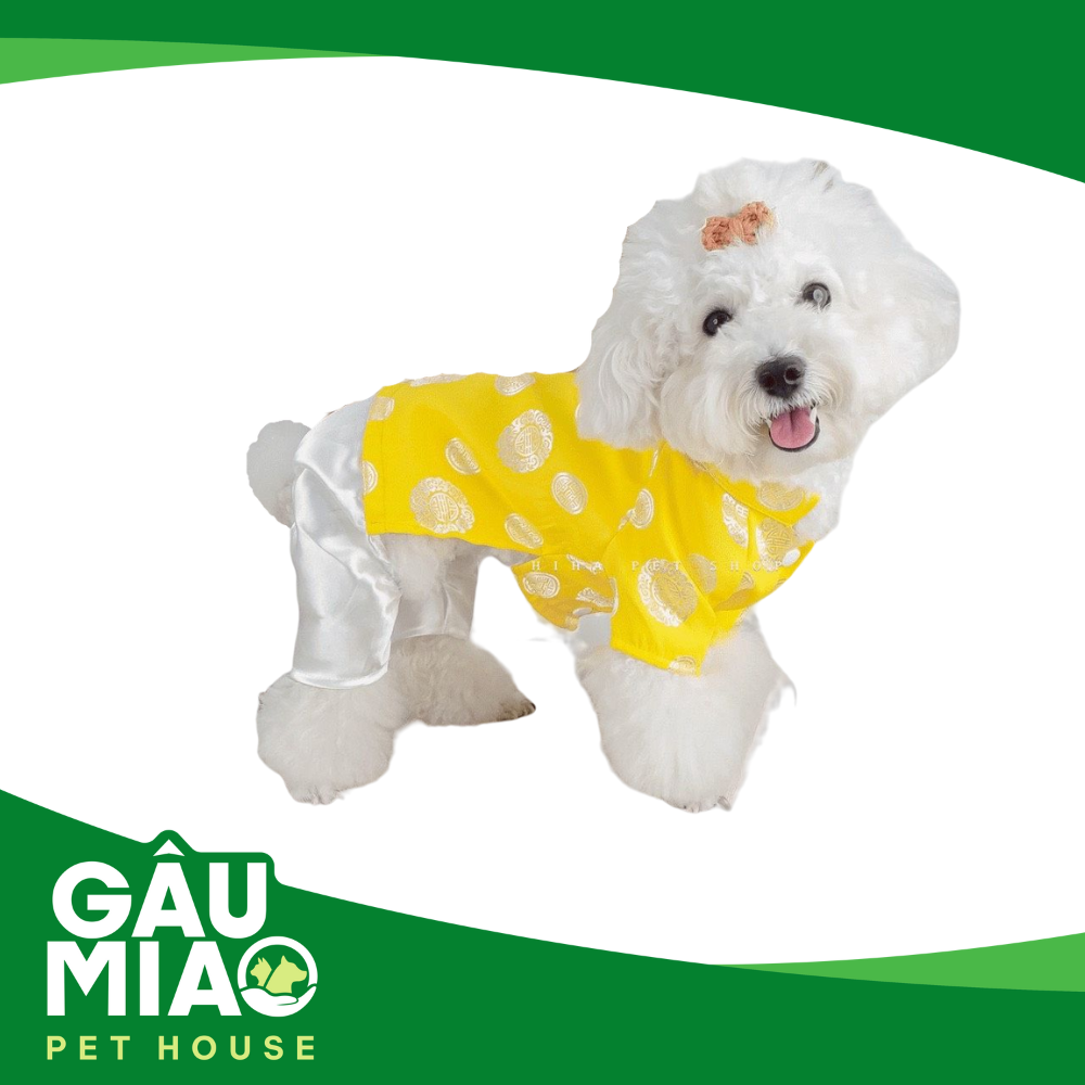 Áo dài truyền thống cổ đôi