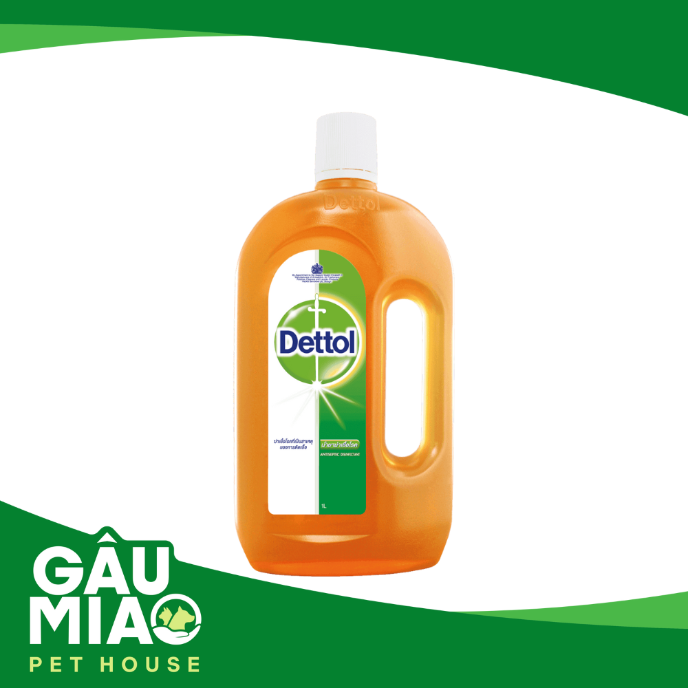 Dung dịch diệt khuẩn và sát trùng Dettol