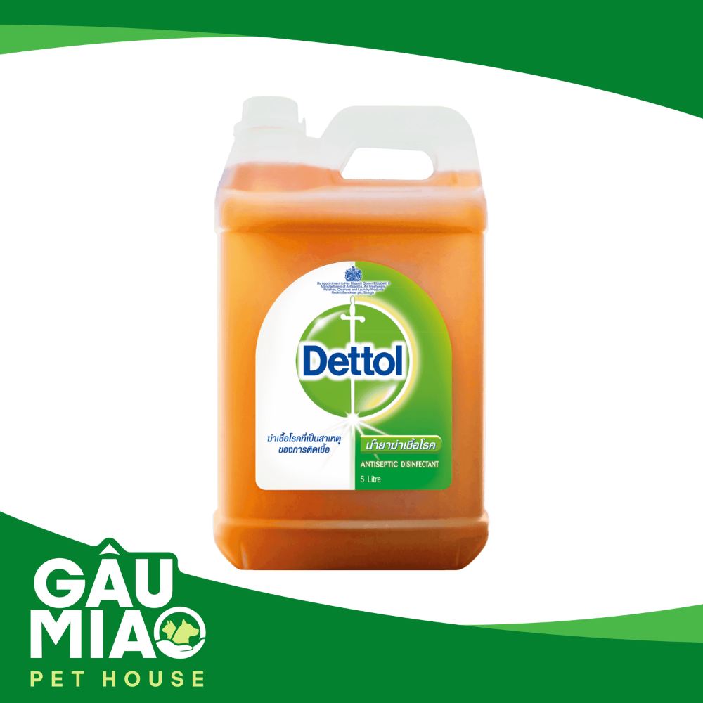 Dung dịch diệt khuẩn và sát trùng Dettol
