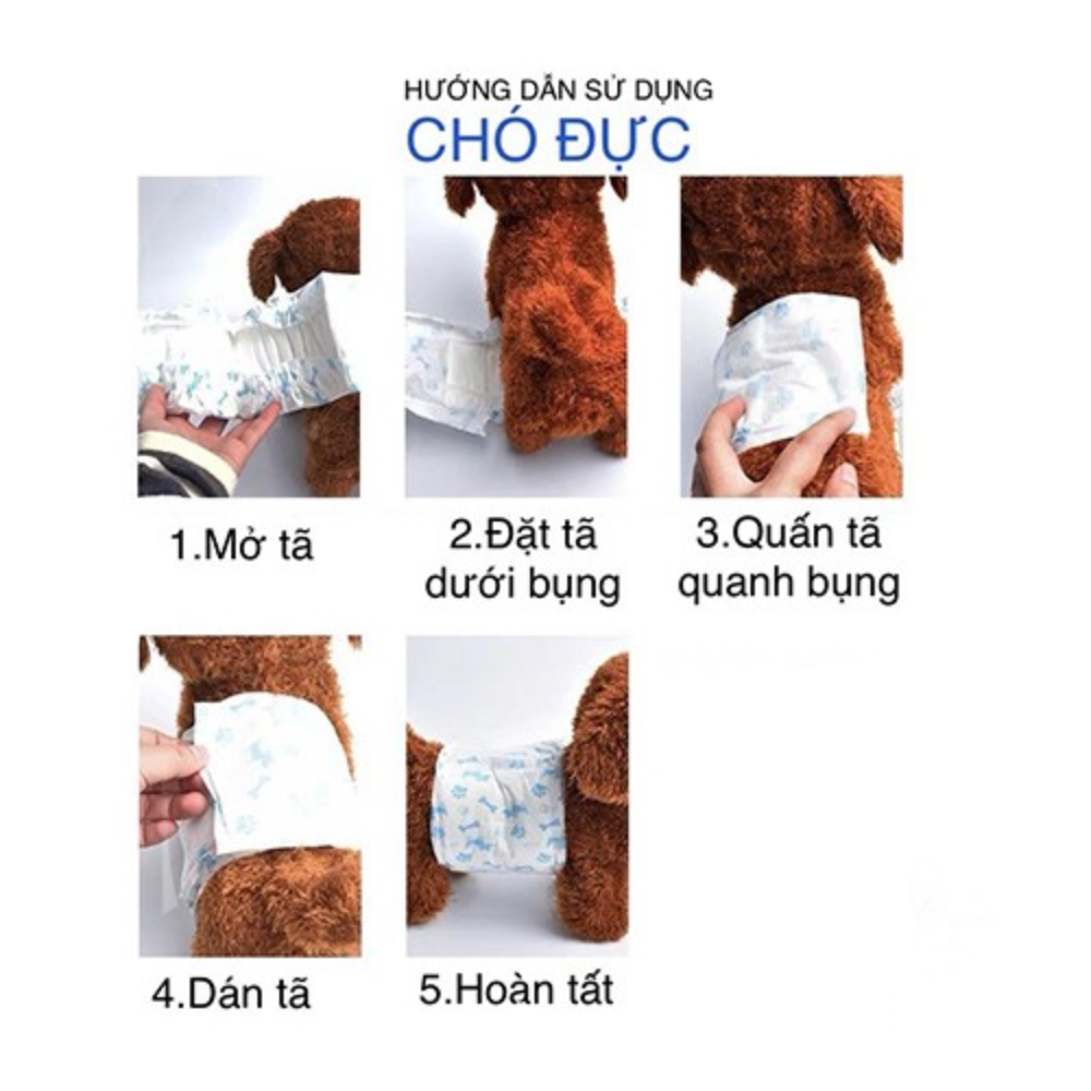 Tã Dono chó đực