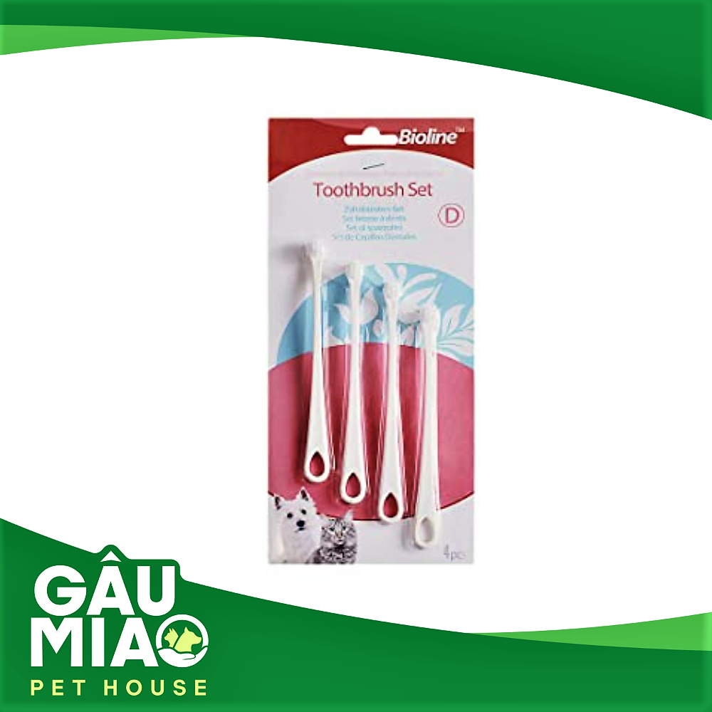 Bioline Set 4 bàn chải đánh răng cho thú cưng