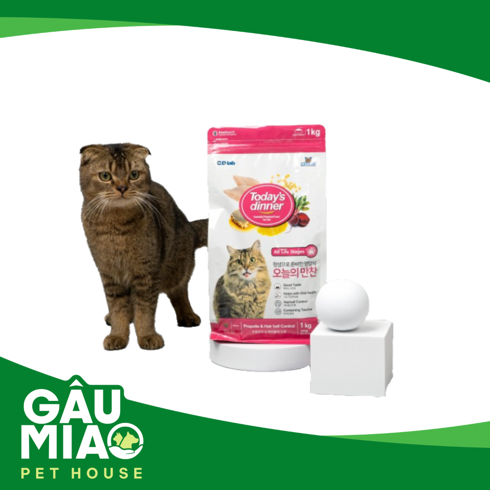 Todays Dinner All Stages- Hạt cho mèo mọi lứa tuổi