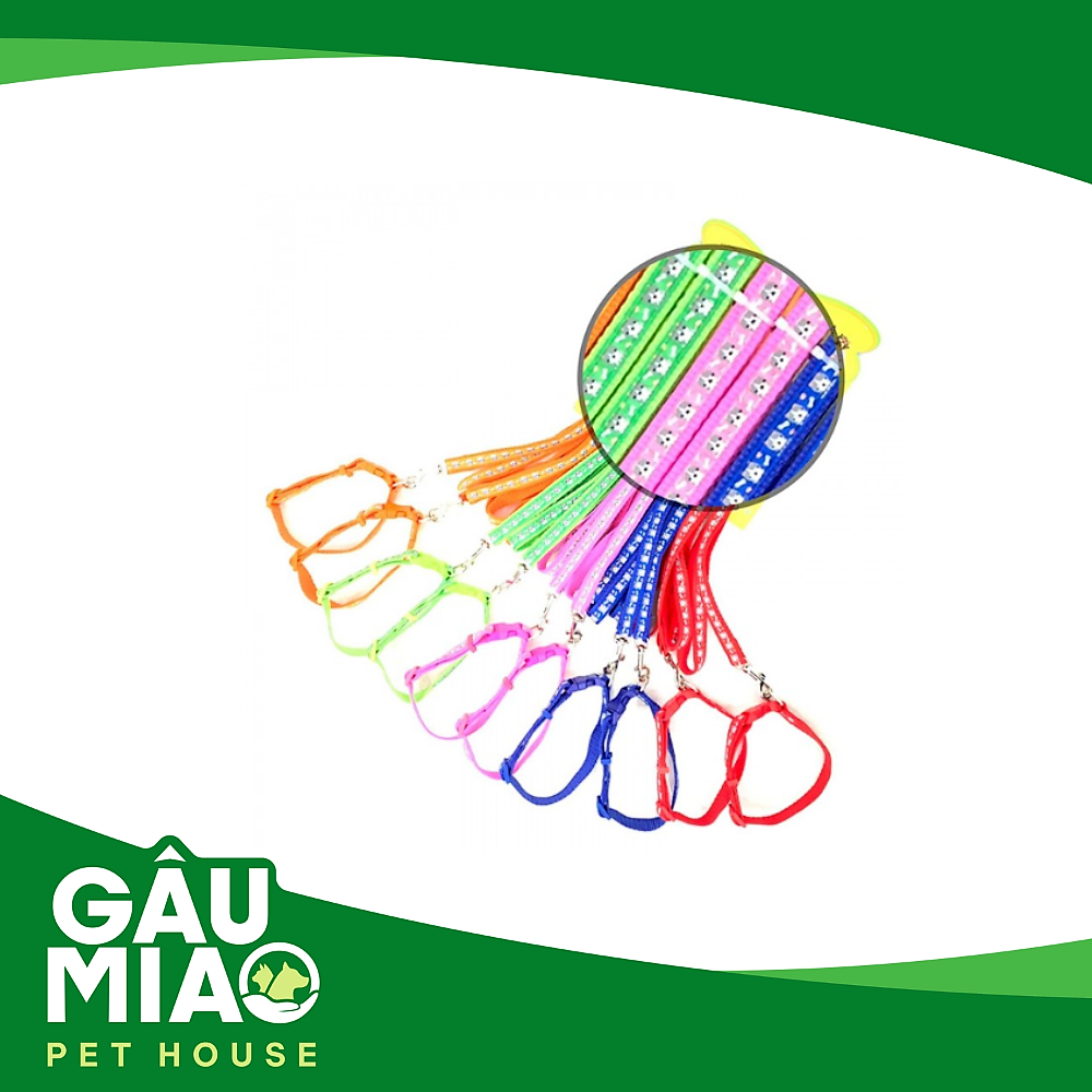 Bộ dắt+vòng cổ HK Bull Dog