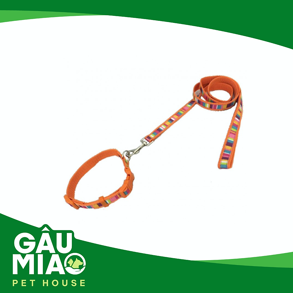 Bộ dắt+vòng cổ HK Sọc