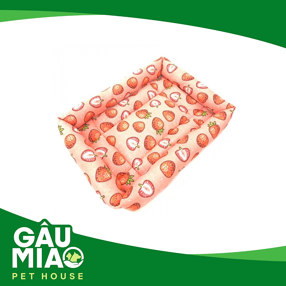 Nệm vuông Trái cây HK