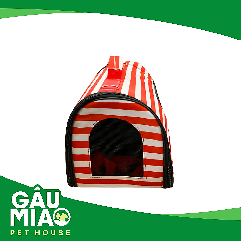 Túi Sọc 12101XB01