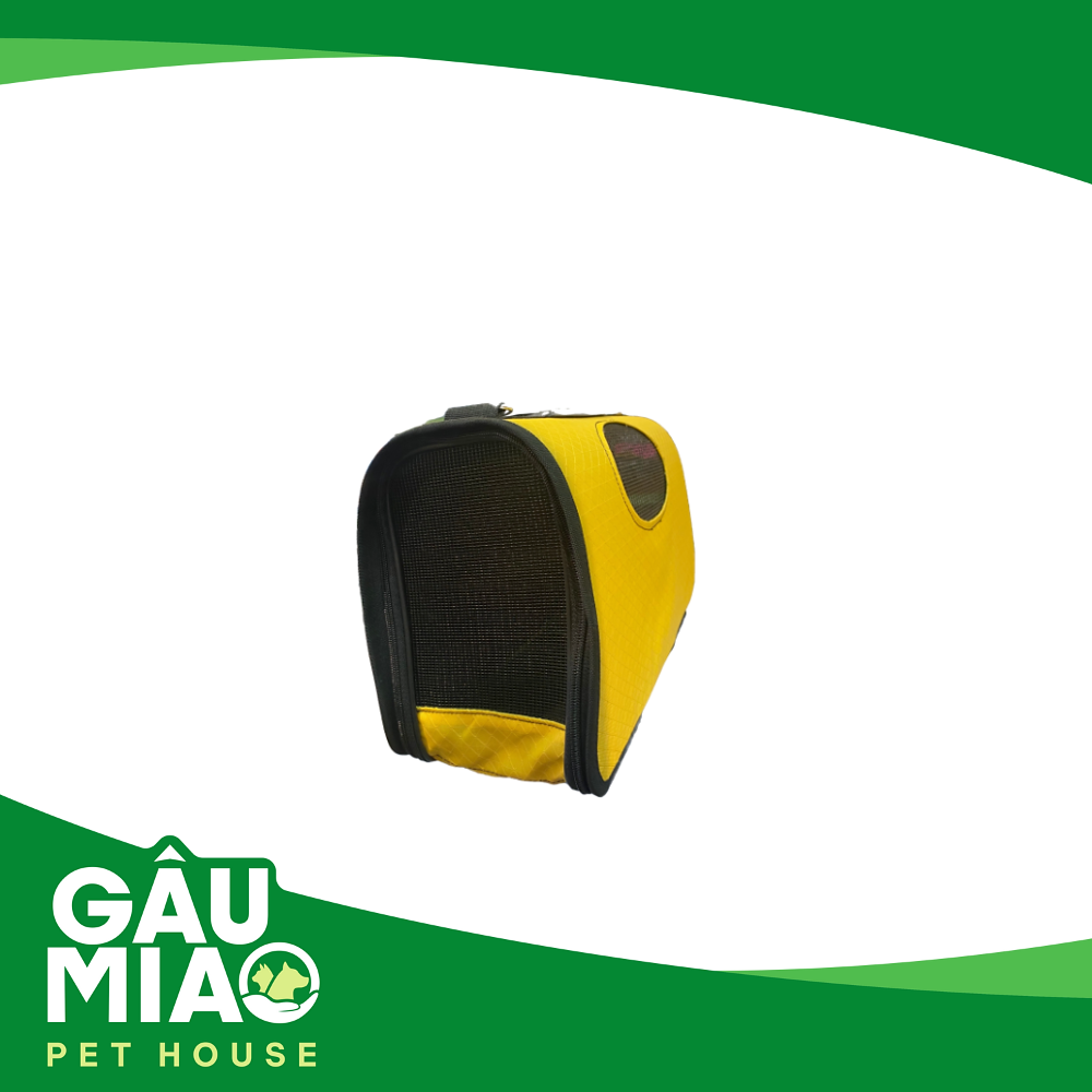 Túi xách vòm in hình