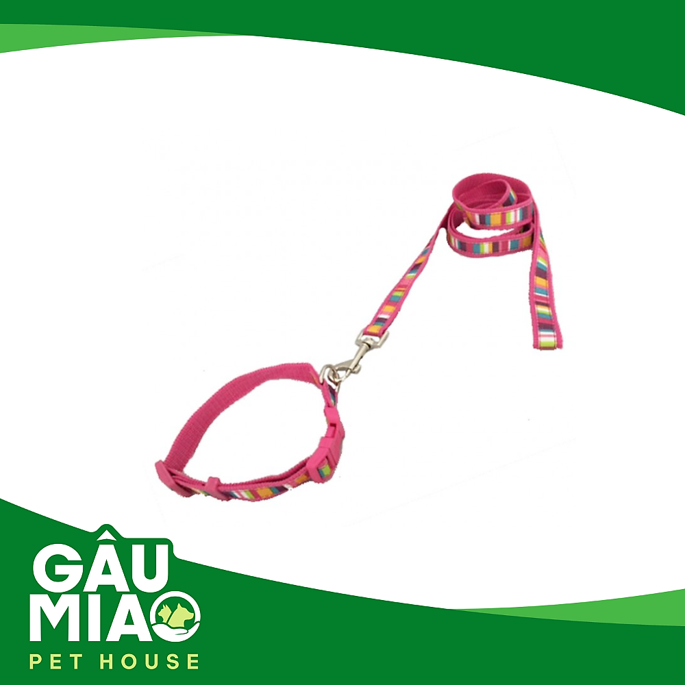 Bộ dắt+vòng cổ HK Sọc