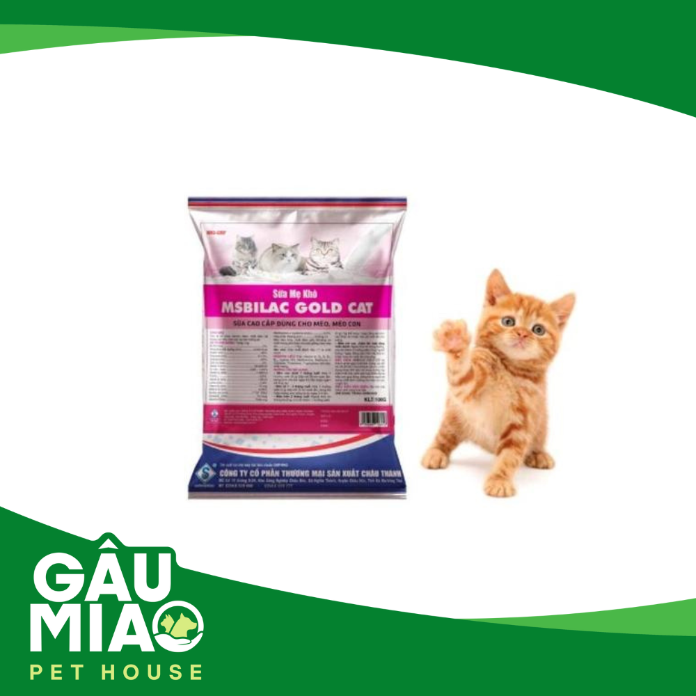 Msbilac Gold Cat-Sữa mẹ khô cho mèo - 100g