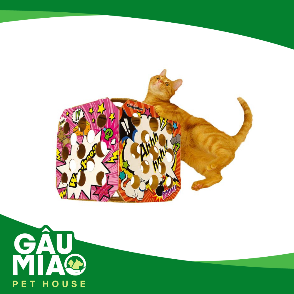 CattyMan Đồ chơi hộp xí ngầu vui nhộn cho mèo