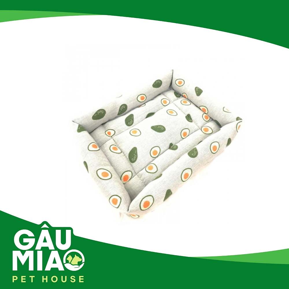 Nệm vuông Trái cây HK