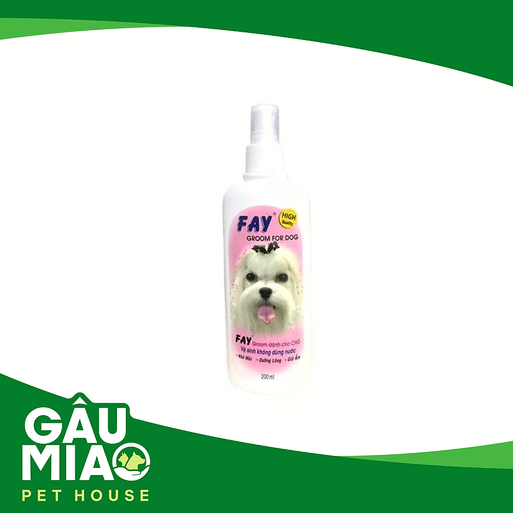 Fay Groom for Dog