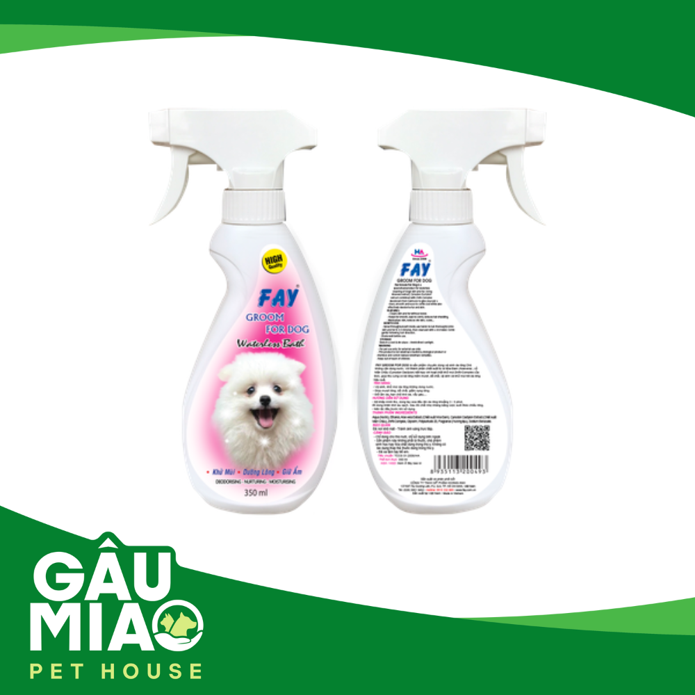 Fay Groom for Dog
