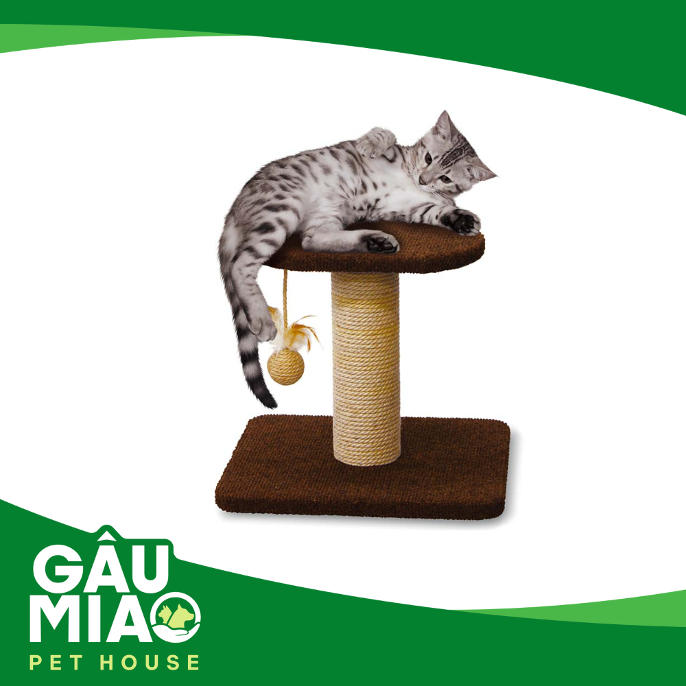 CattyMan Trụ cào 2 tầng cho mèo 36x32x30cm