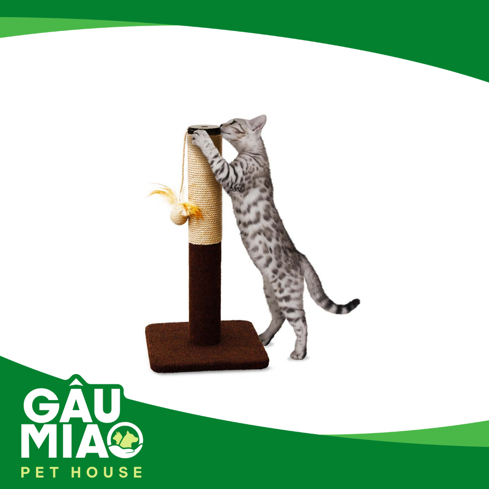 CattyMan Trụ cào cho mèo 30x30x60cm