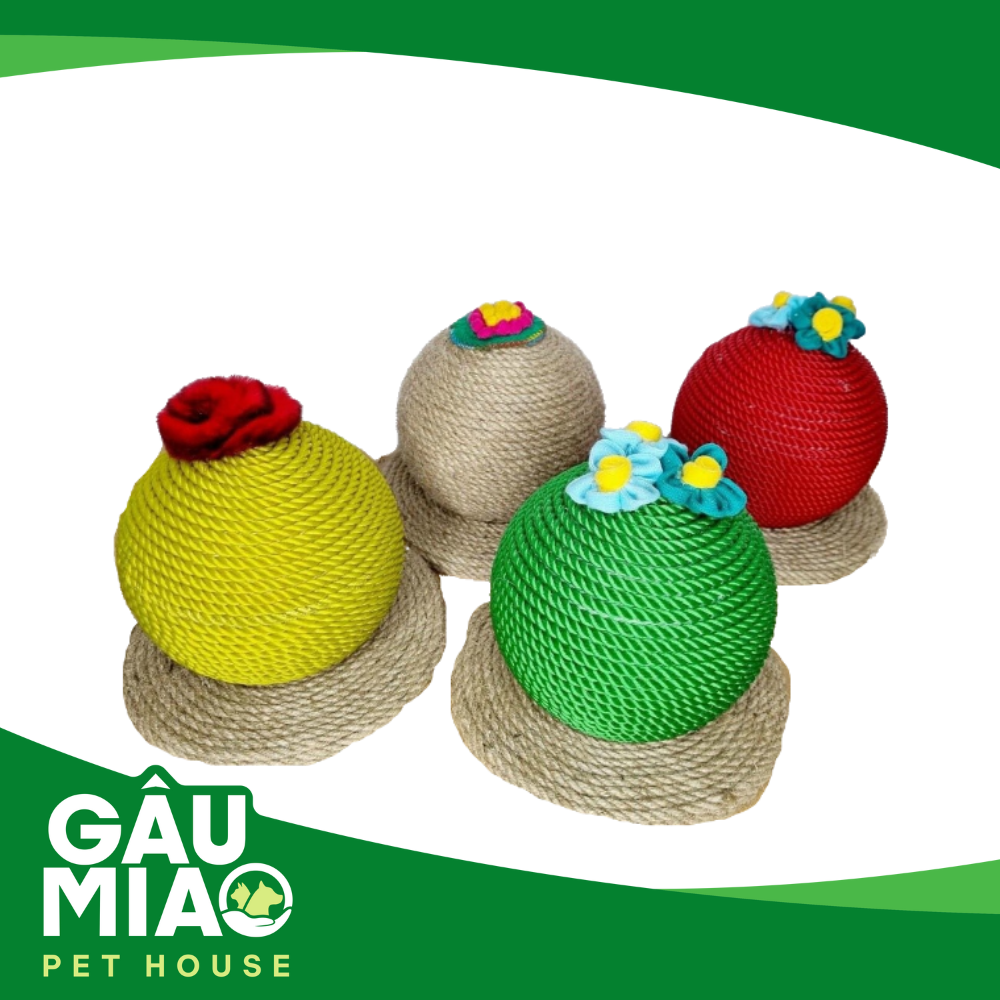 Cào mèo Quả cầu nhiều màu