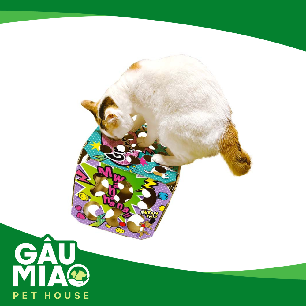 CattyMan Đồ chơi hộp xí ngầu vui nhộn cho mèo