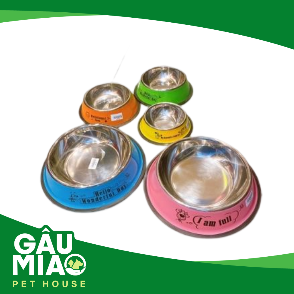 Tô inox màu in hình