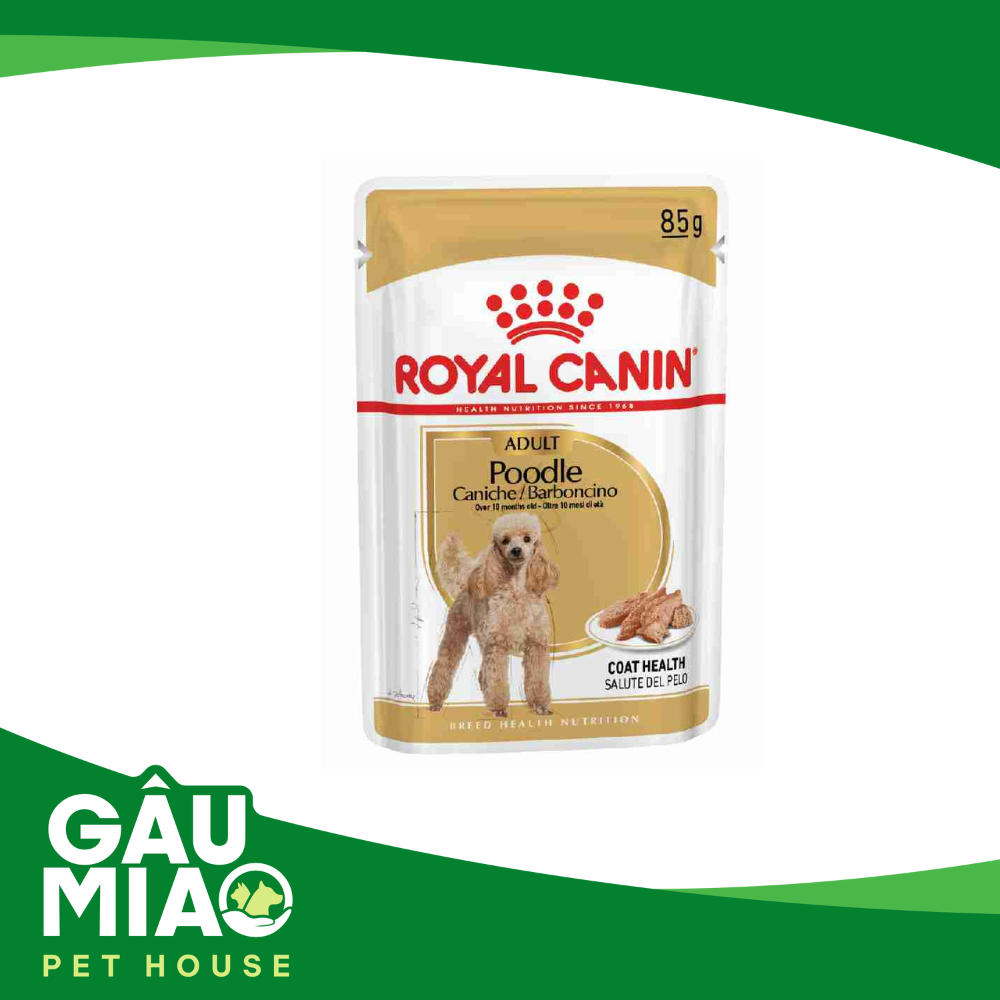Royal Canin Pate Poodle Adult 85g