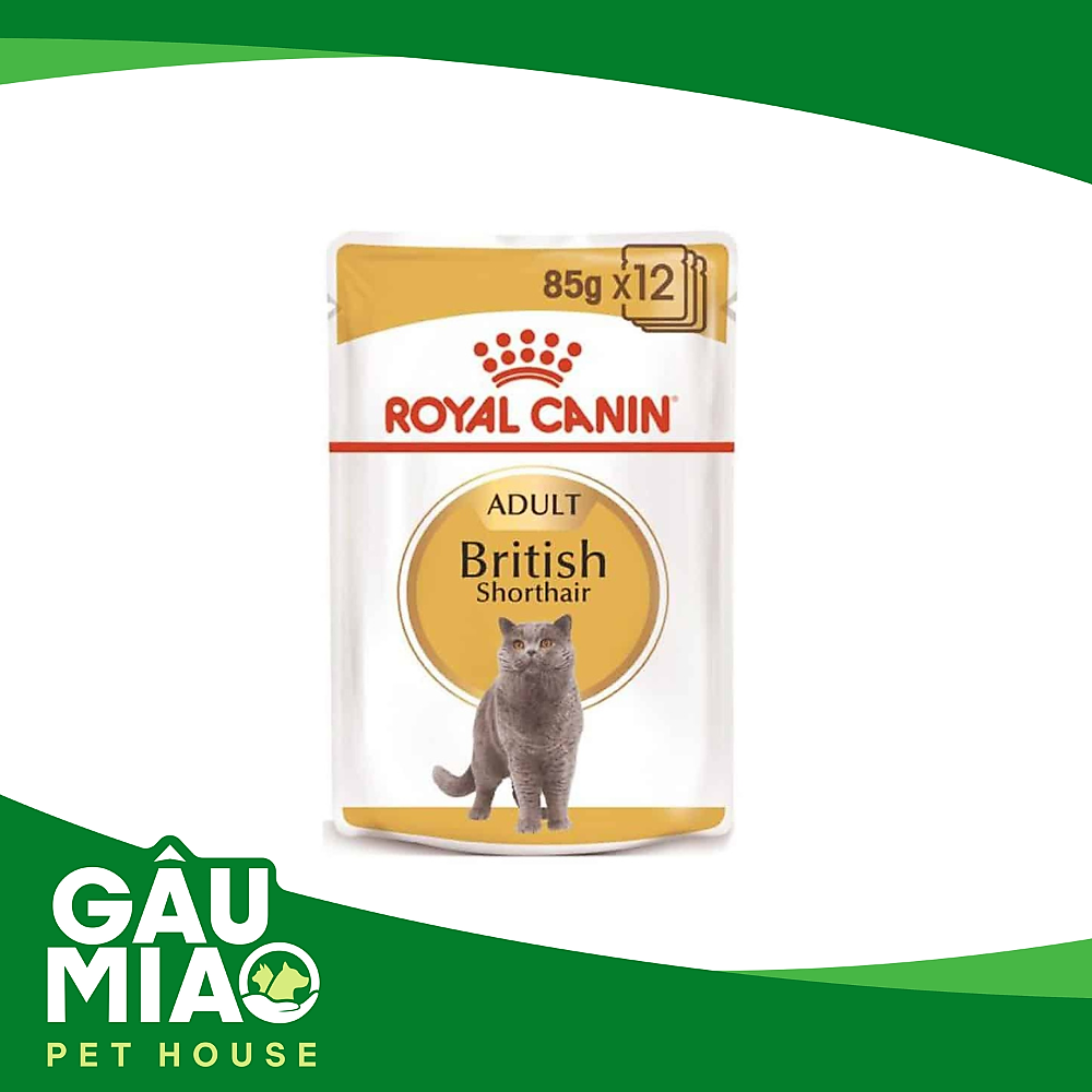 Royal Canin Pate British Shorthair Adult 85g