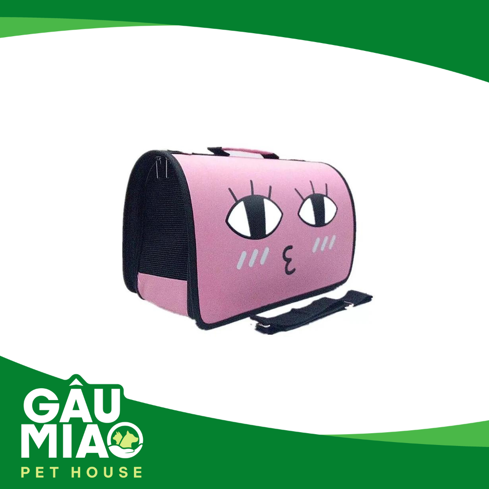 Túi vận chuyển cảm xúc TD019