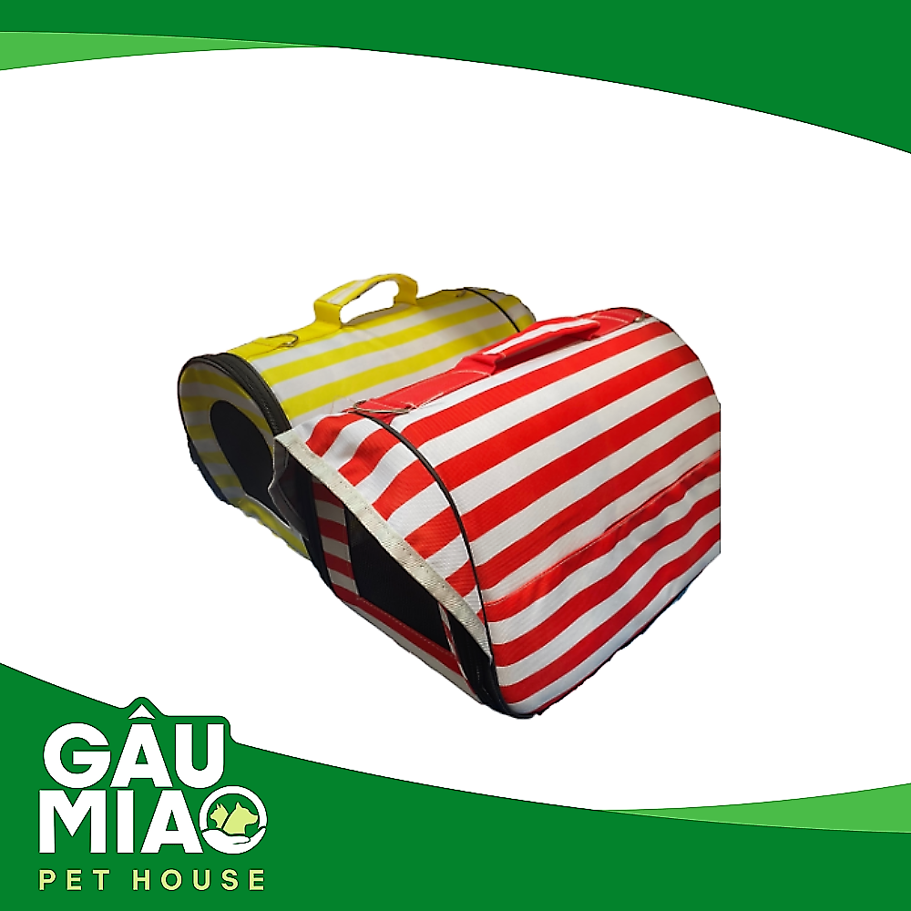 Túi Sọc 12101XB01