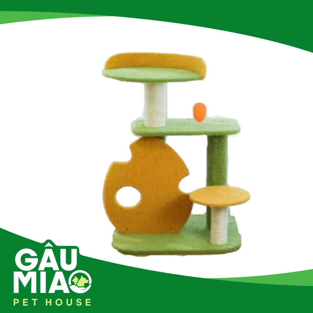 Cây mèo leo Xanh lá,vàng LZ-04 - 46*36*75cm