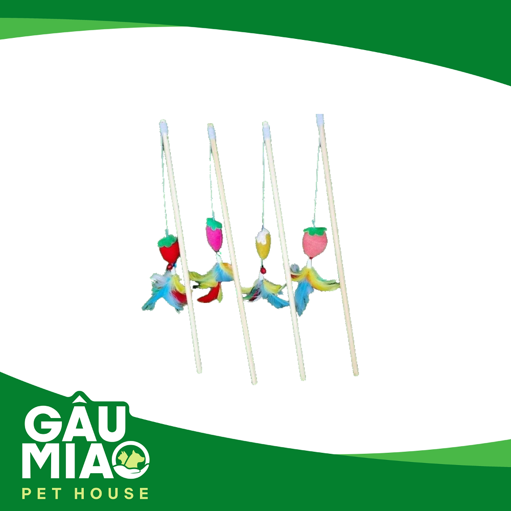 Cần câu mèo cán gỗ