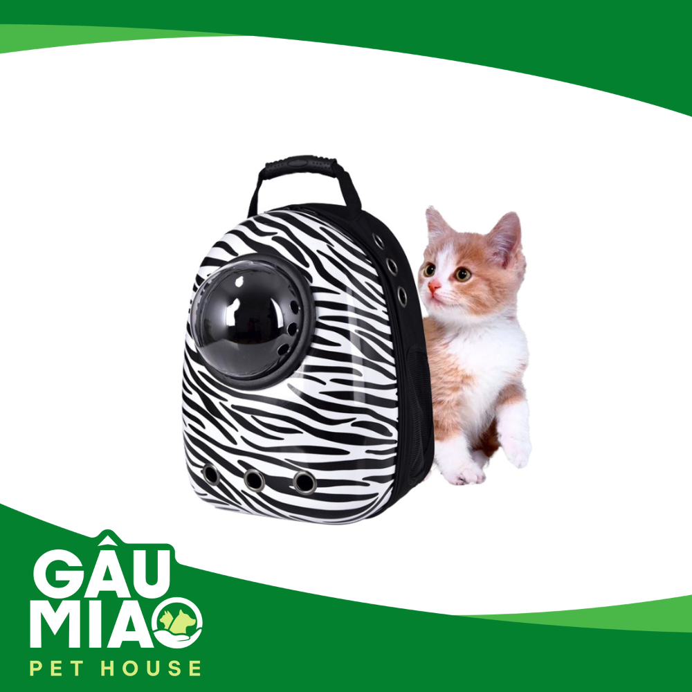 Balo Apolo 2006XB 31*28*42cm