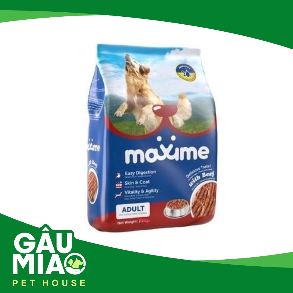 Maxime Adult With Beef