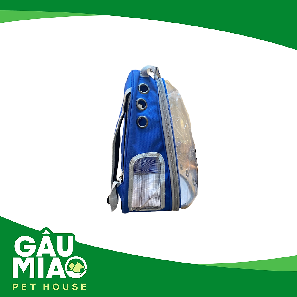 Balo hình mèo trong suốt họa tiết XB21-182 - 33*16*39cm