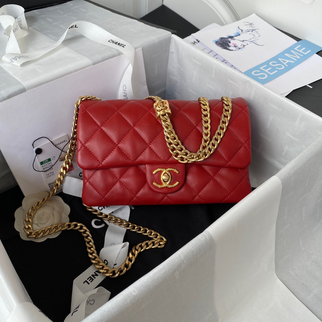 CC Bag AS3393