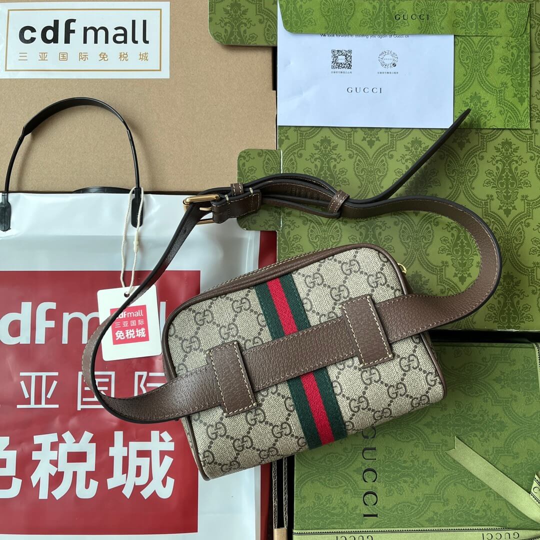 GG Ophidia Belt Bag