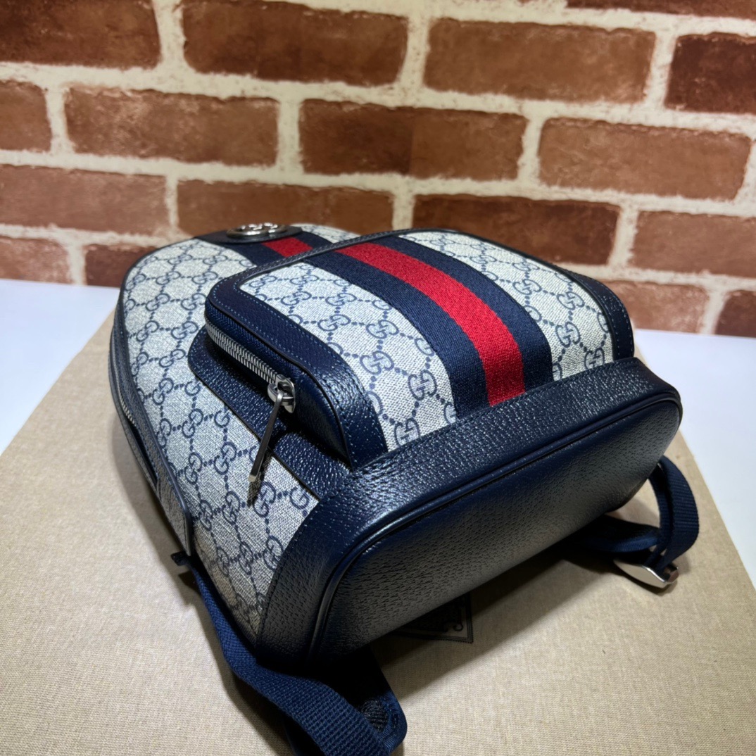 GG Backpack 547965