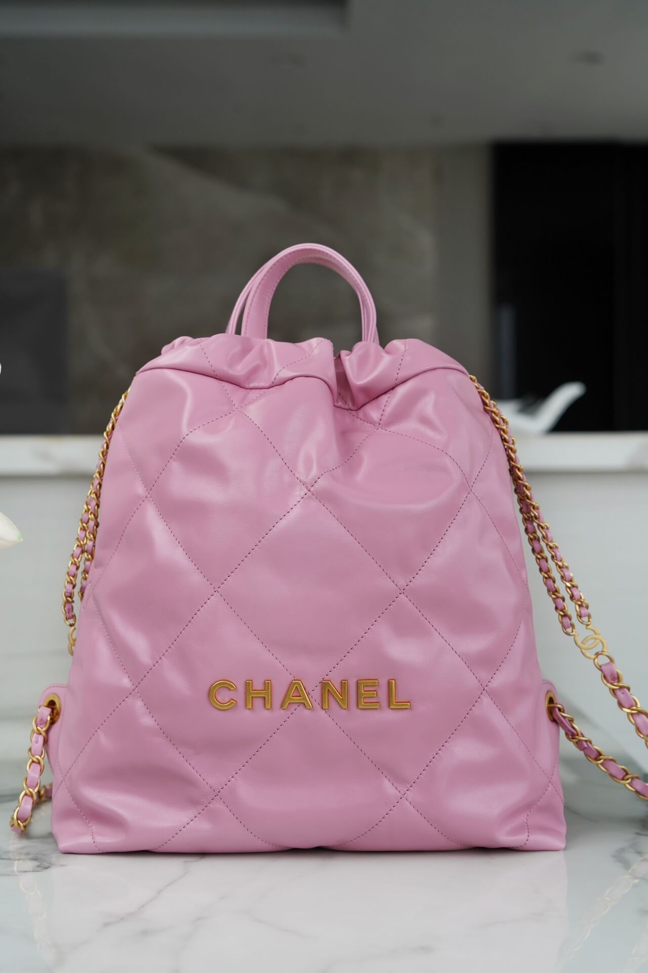 CC 22 Backpack