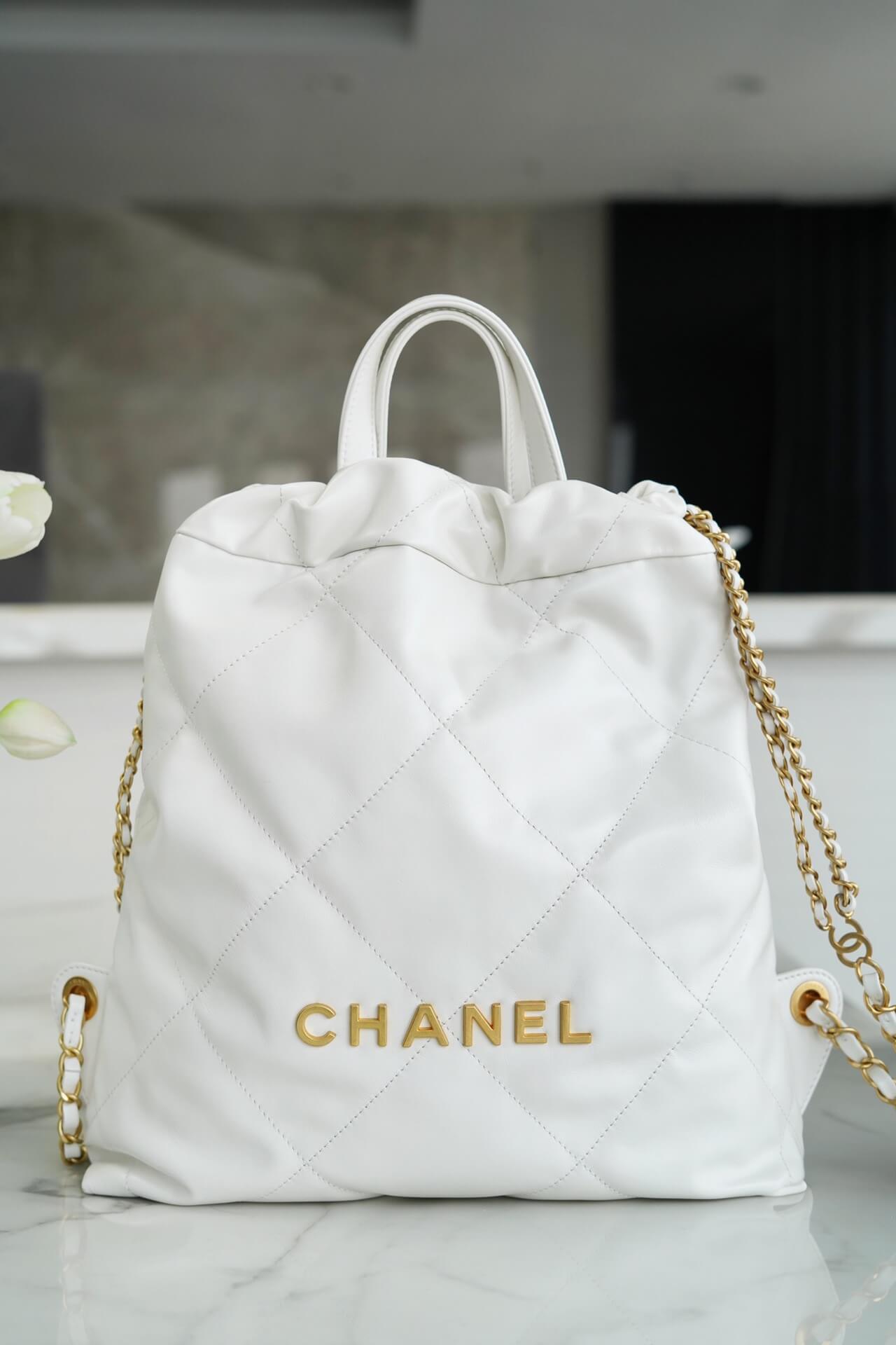 CC 22 Backpack