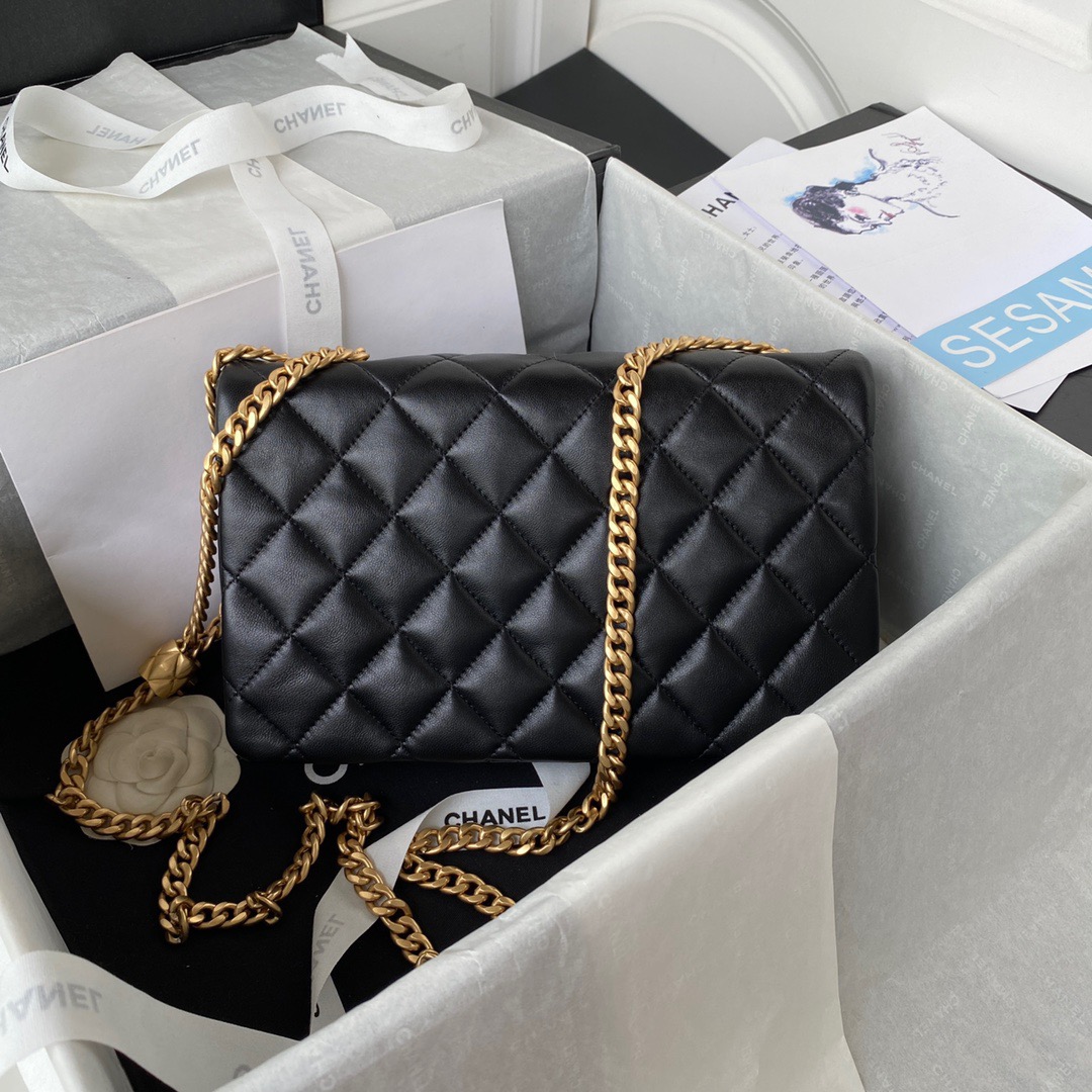 CC Bag AS3609
