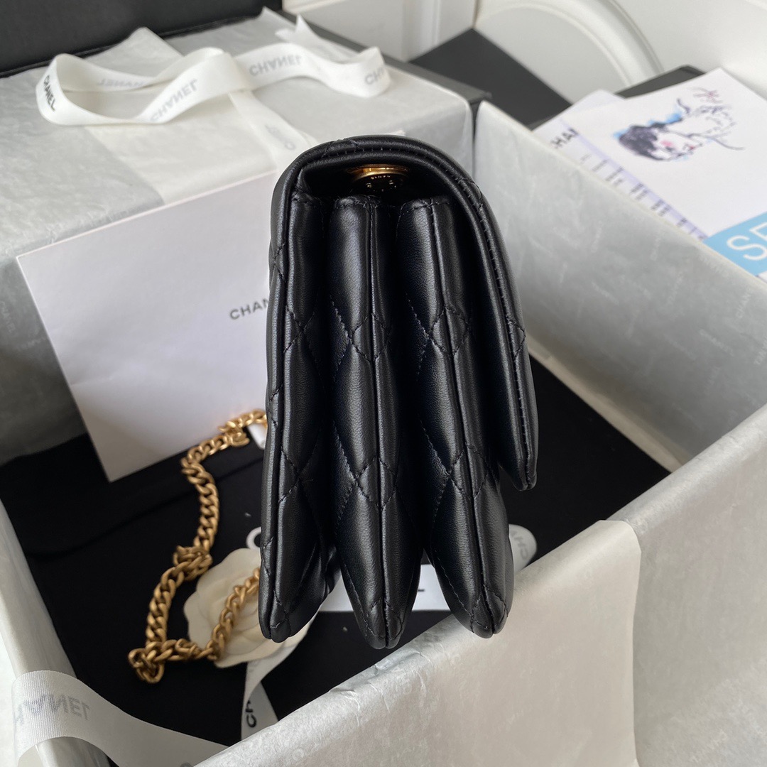 CC Bag AS3609