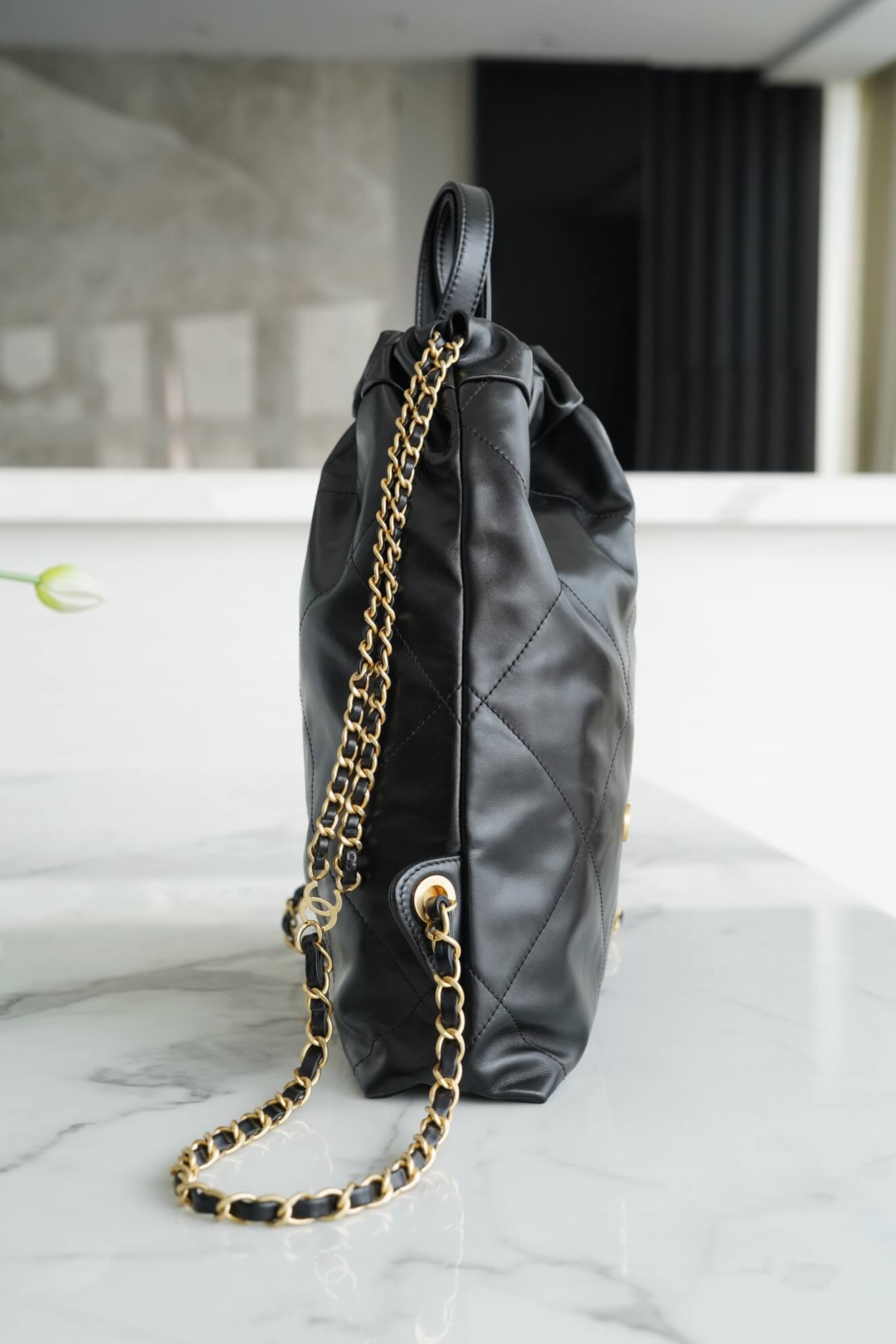 CC 22 Backpack