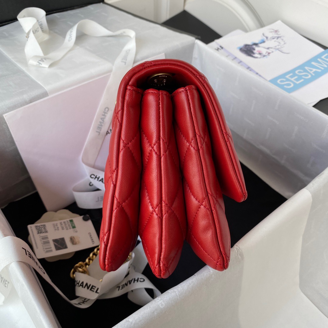 CC Bag AS3609