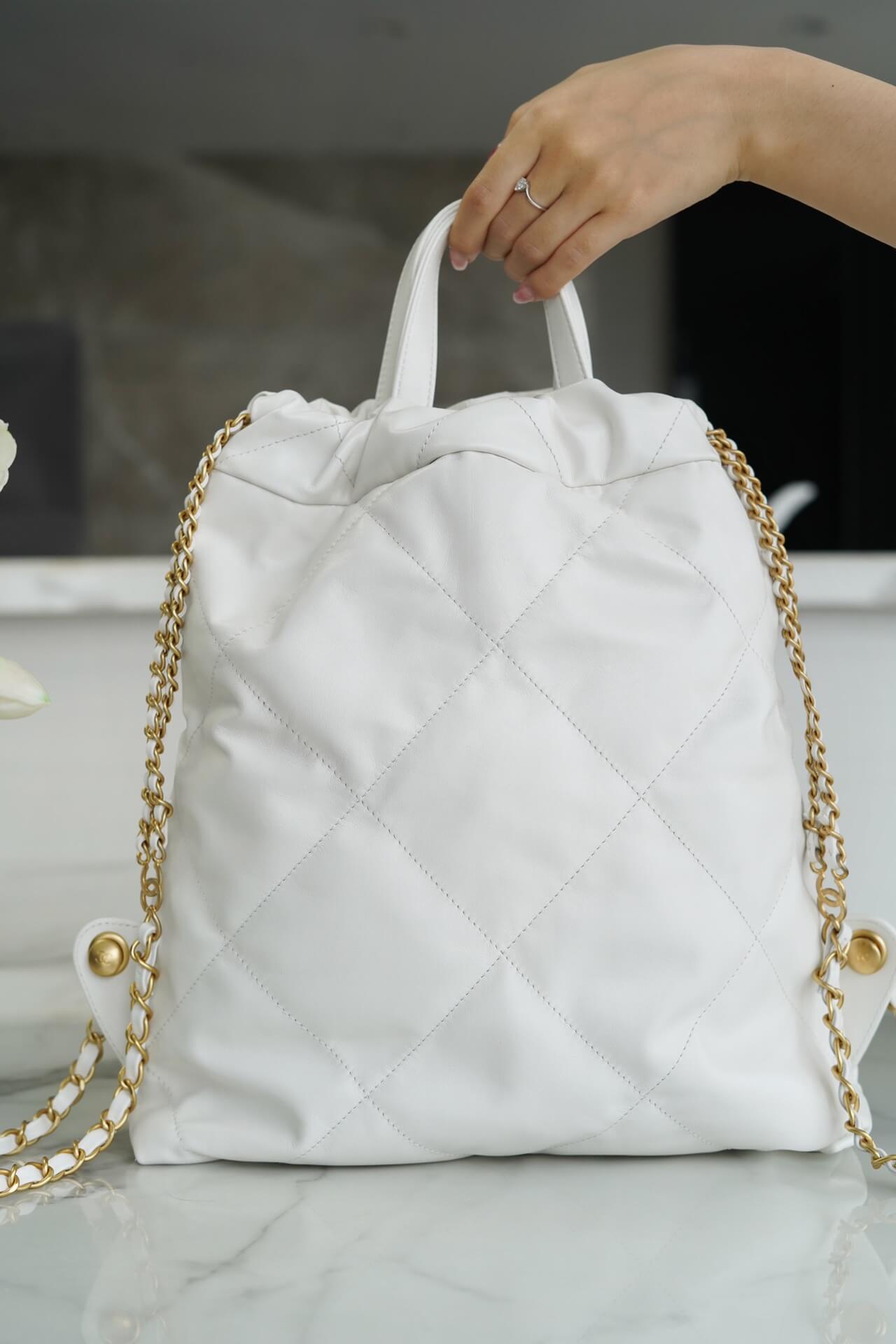 CC 22 Backpack