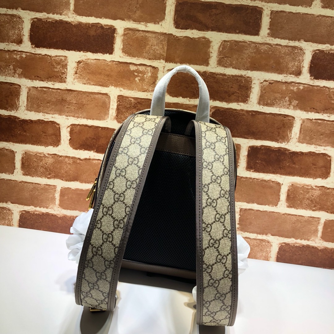 GG Backpack 547965