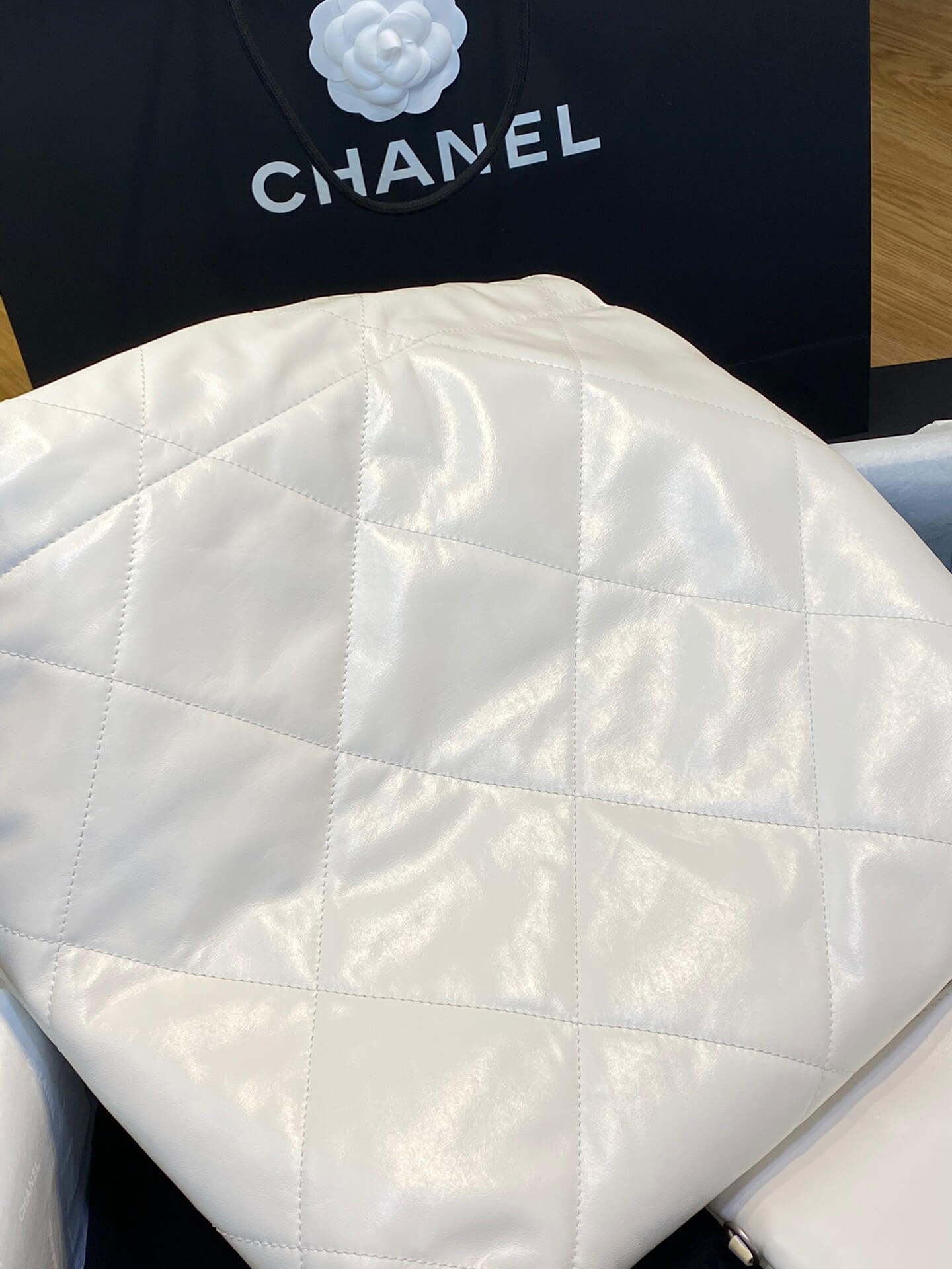 CC 22 Bag