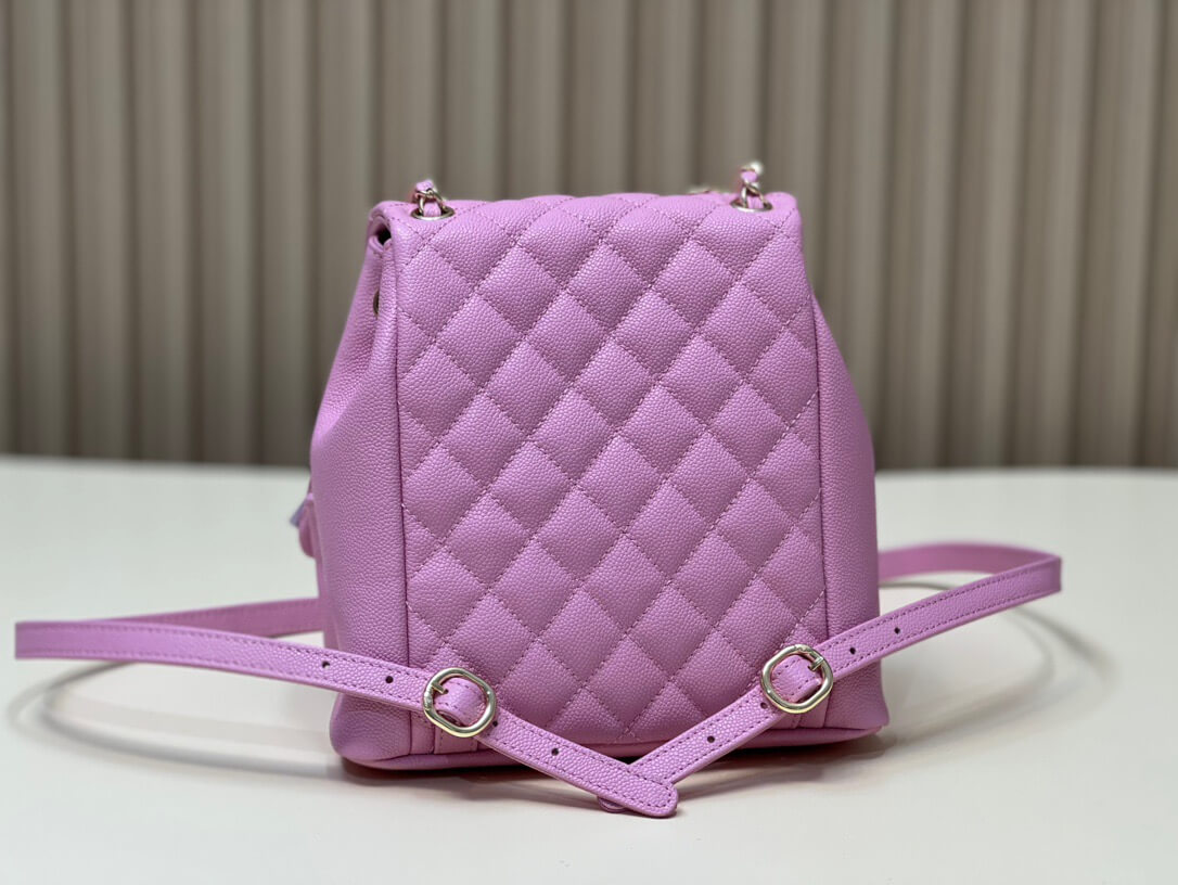 CC Backpack 23P