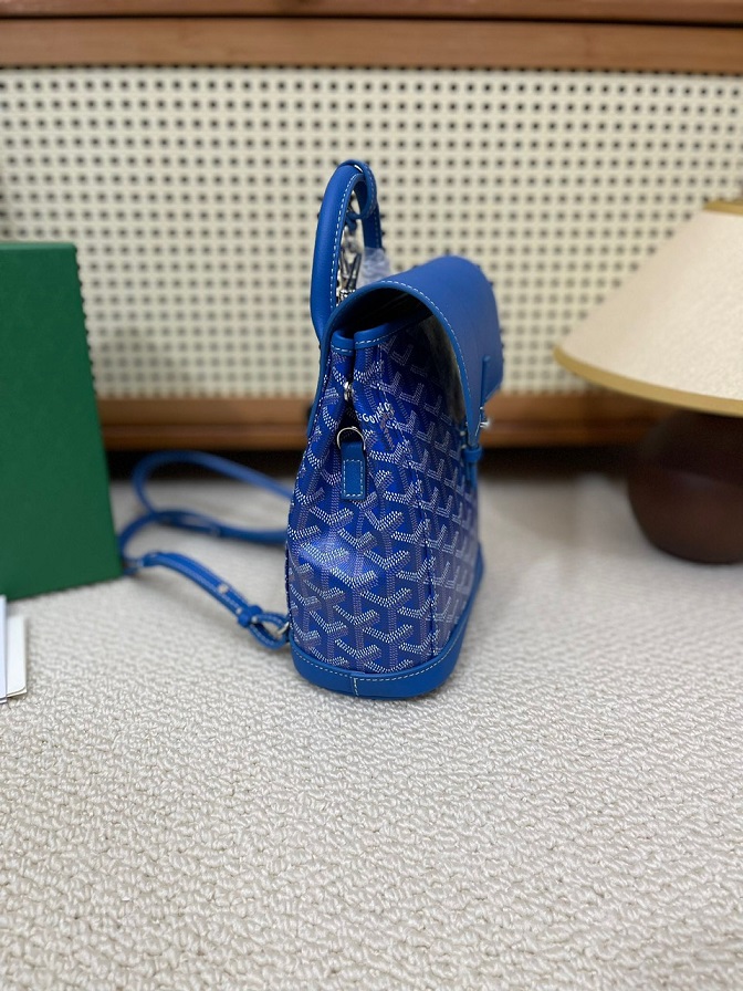 Goya Mini Backpack