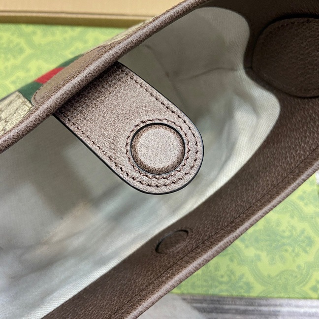 GG Ophidia Hobo Small