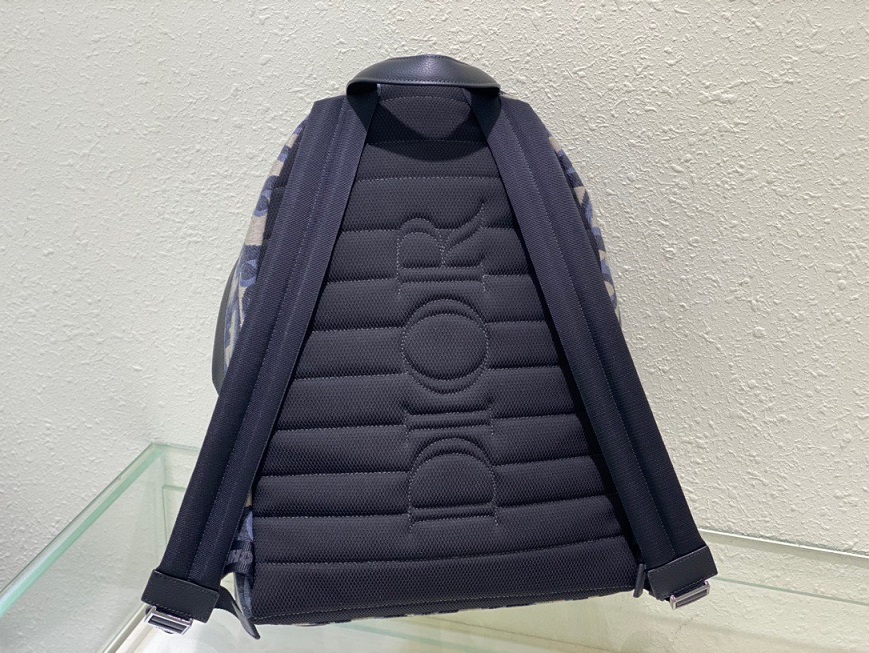 CD Rider Backpack