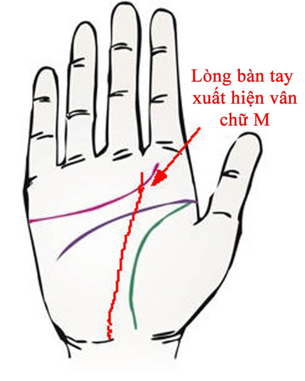 Tướng xuất ngoại - Xem tướng chuẩn xác và chi tiết nhất
