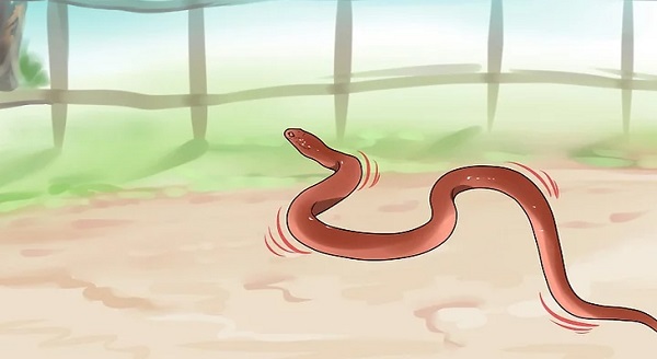 Mơ ngủ thấy rắn đánh con gì?